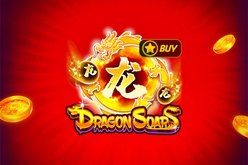 11333 dragon soar